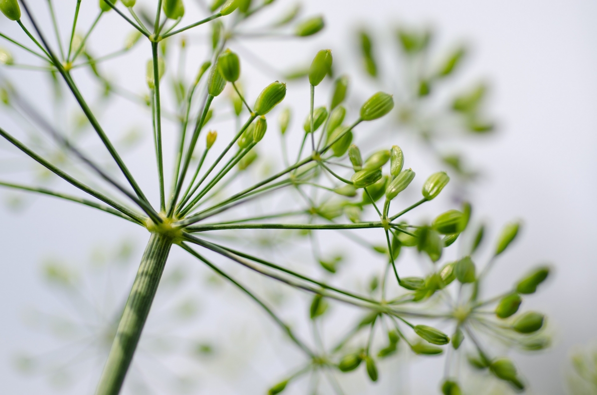 Tử vi 12 con giáp ngày 24/4/2023. Ảnh minh hoạ