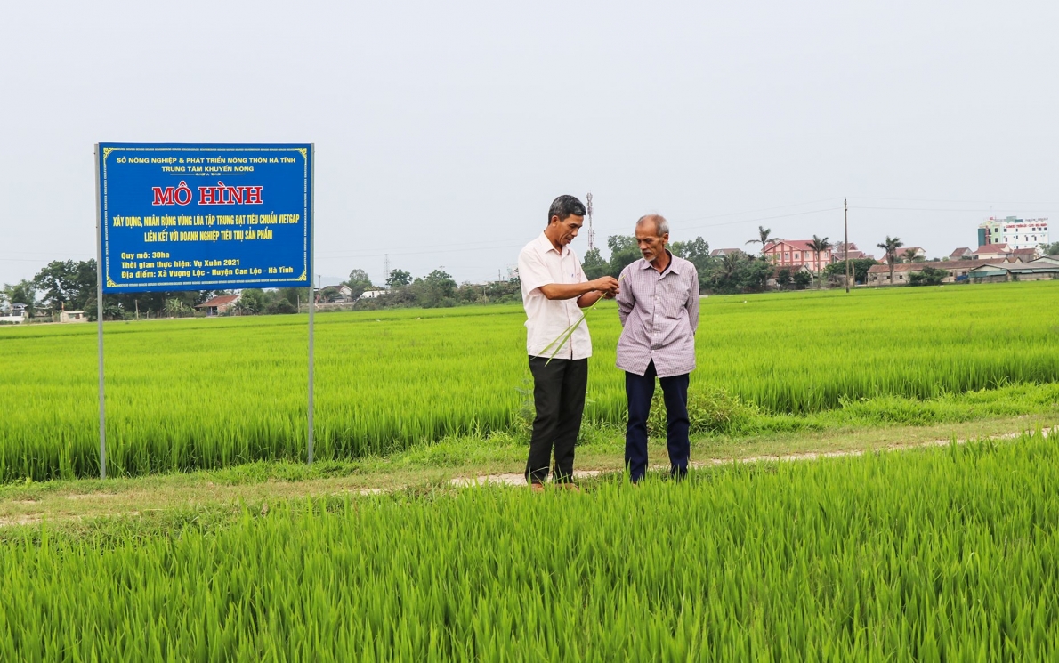 NCT huyện Can Lộc, tỉnh Hà Tĩnh chung tay xây dựng quê hương nông thôn mới kiểu mẫu