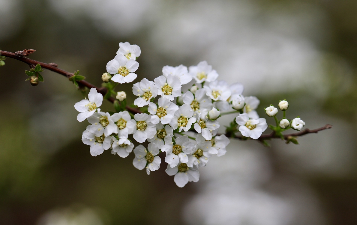 Tử vi 12 con giáp ngày 29/4/2023. Ảnh minh hoạ