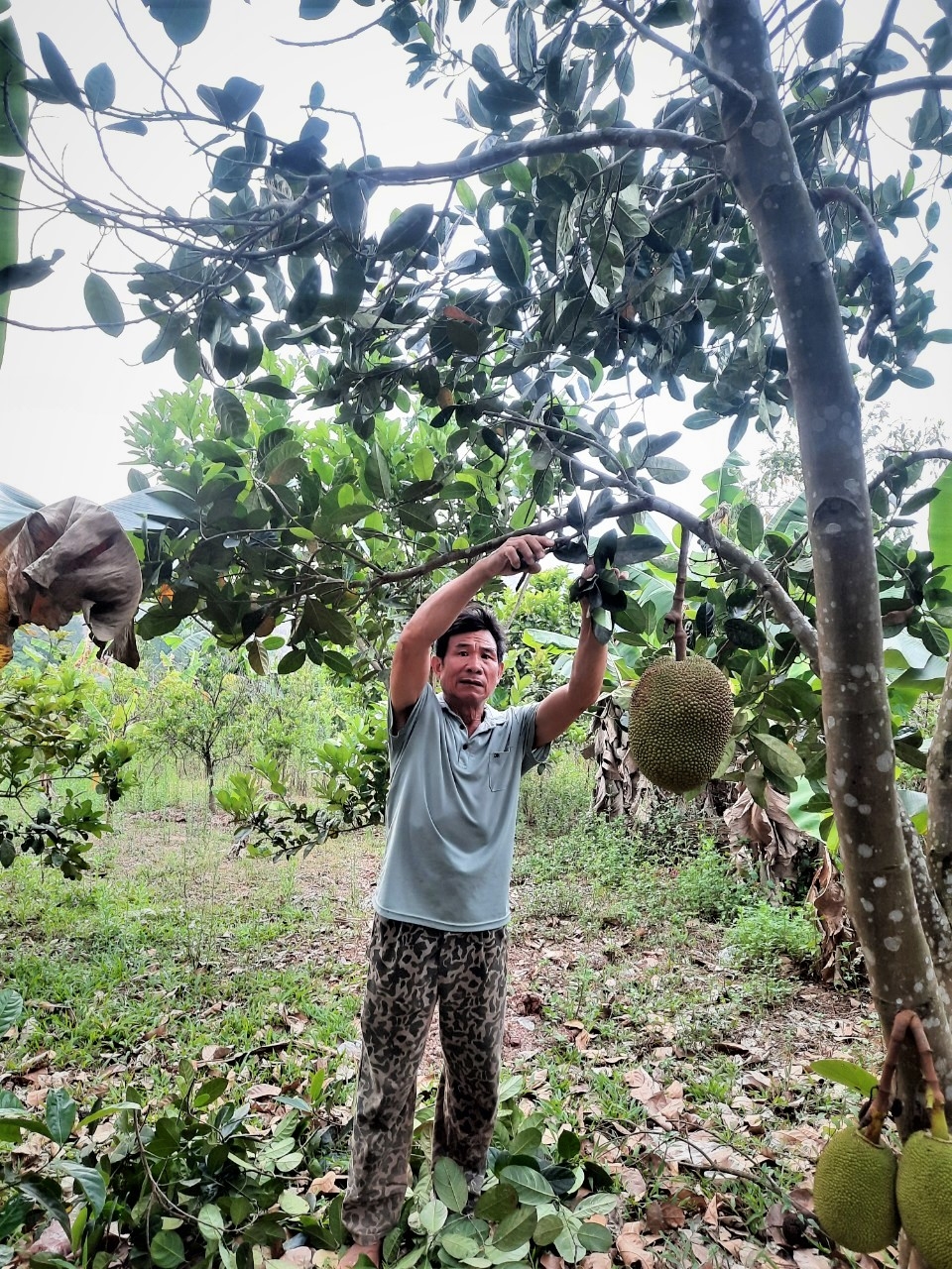 Chăm sóc vườn tược, cây cối là công việc thường ngày của ông Khoàng Văn Cớm