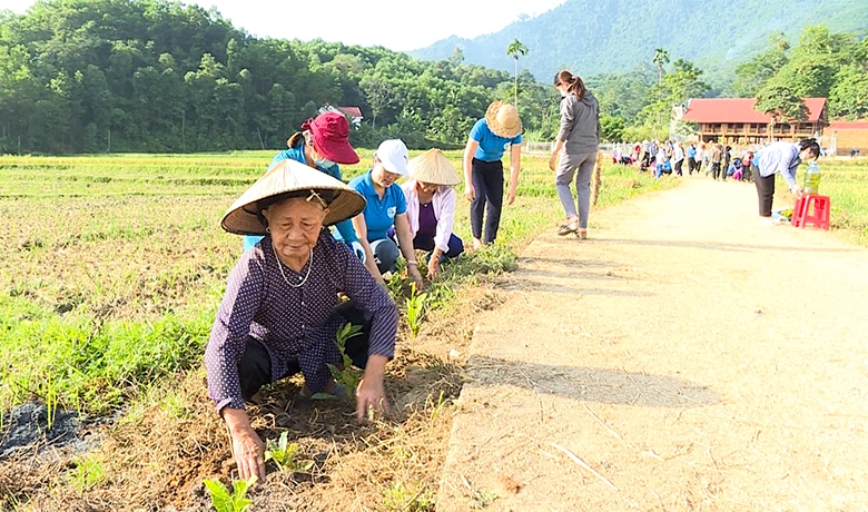 Phát huy vai trò Người cao tuổi trong xây dựng Nông thôn mới