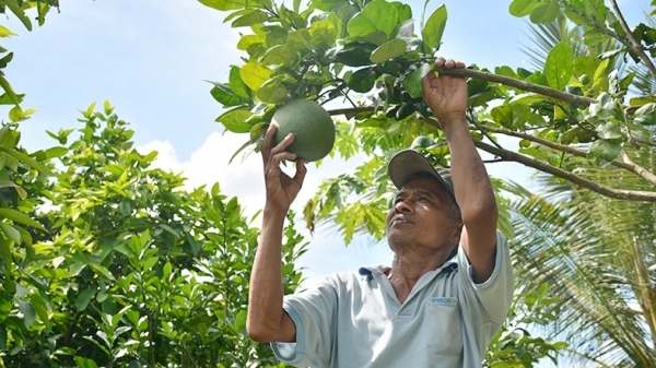 Đổi thay ở vùng đệm Vườn Quốc gia U Minh Thượng