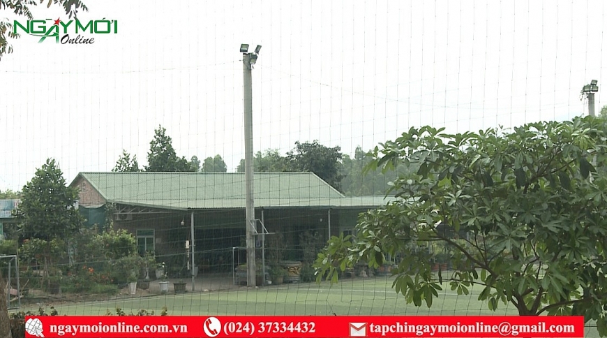 Gia đình bà Diệp Thị Kim Duyên còn ngang nhiên xây dựng sân bóng trên đất lâm nghiệp.