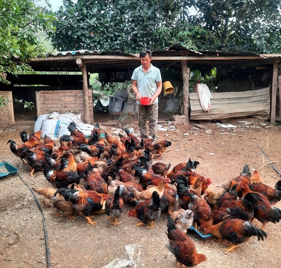 Mô hình hội viên NCT tỉnh Điện Biên làm kinh tế giỏi (1)