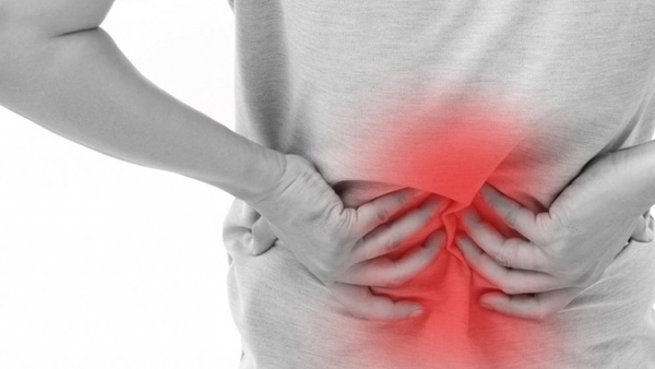 Bài thuốc chữa đau lưng nhức mỏi kế thừa lương y Tuệ Tĩnh