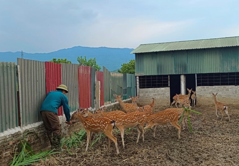 NCT tỉnh Điện Biên tích cực thi đua lao động sản xuất - giữ vững an ninh quốc phòng