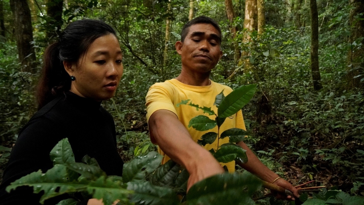 Huyền bí Di Linh với ngọn núi thiêng Brăh Yàng