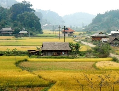 NCT làm kinh tế giỏi  đã góp phần cùng các lực lượng xã hội thúc đẩy công cuộc xóa đói, giảm nghèo