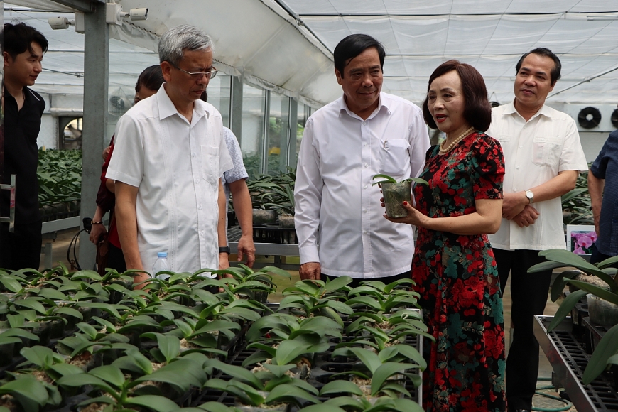 Đoàn công tác Trung ương Hội thăm mô hình NCT làm kinh tế giỏi