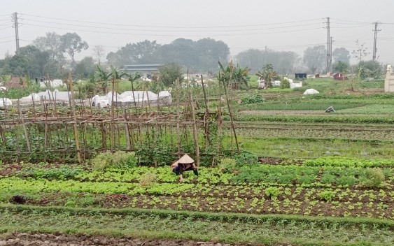 Nòng cốt trong phong trào bảo vệ an ninh, trật tự tại địa phương