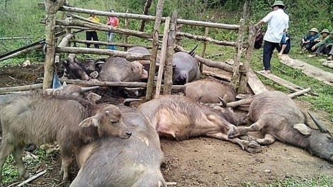 Phòng chống sét đánh ở khu vực nông thôn, miền núi