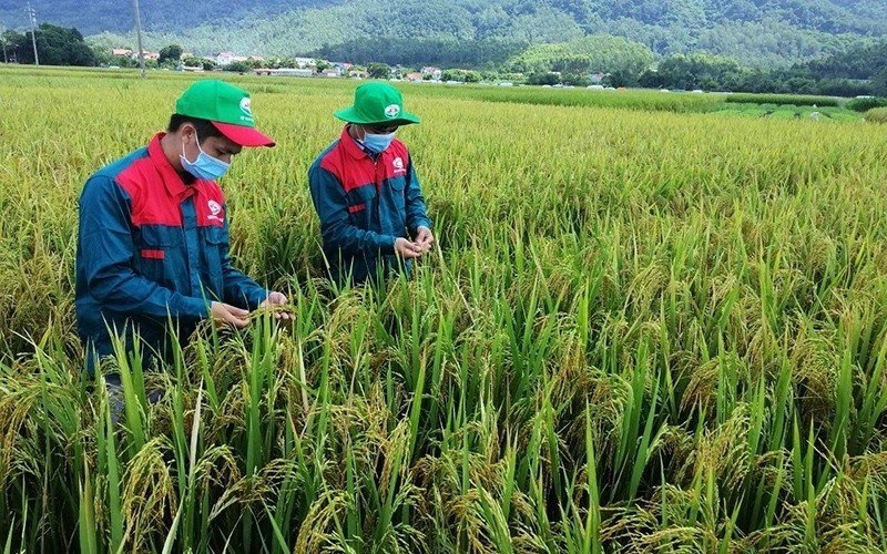 Bài 1: Vĩnh Phúc đưa Nghị quyết số 30 vào thực tiễnvề xây dựng nông thôn mới