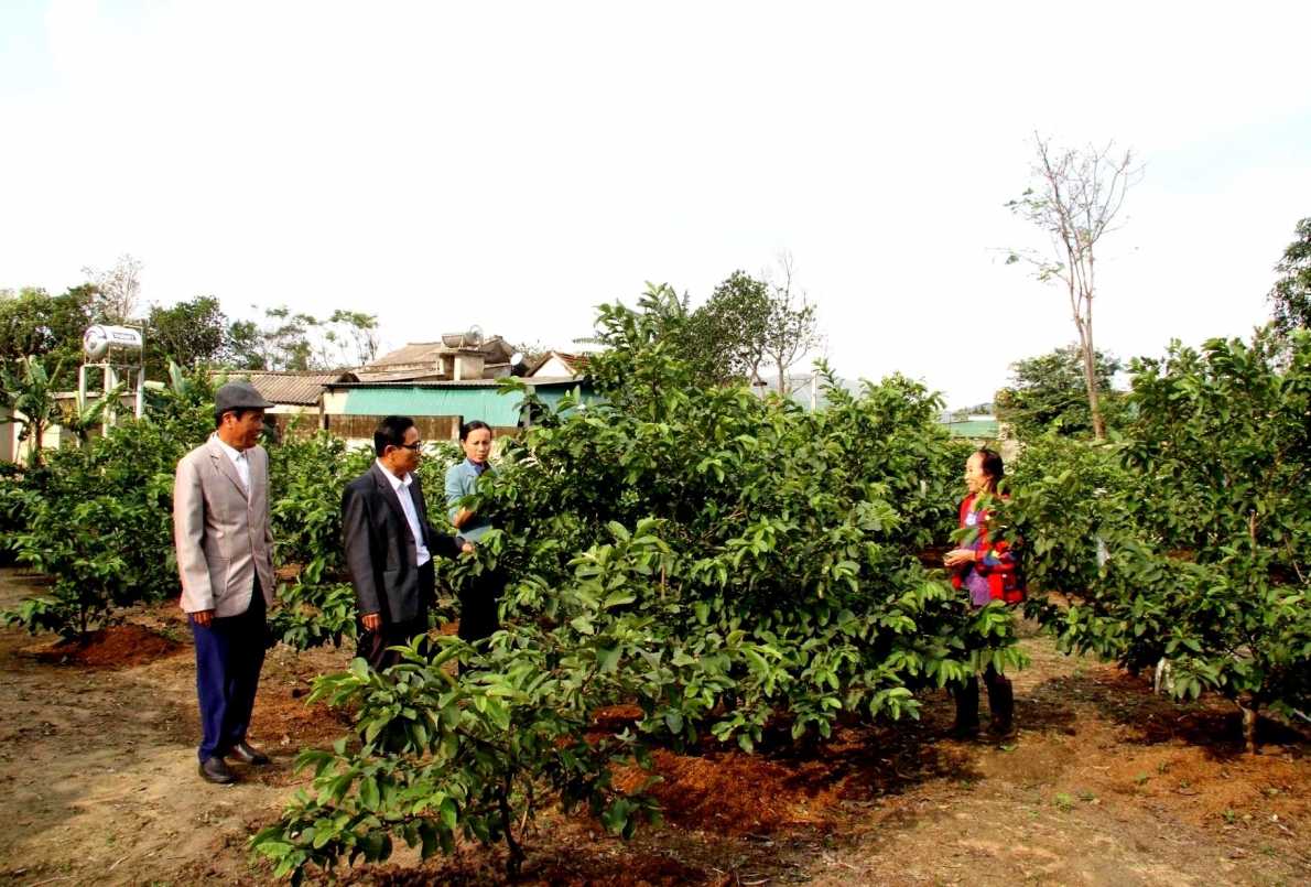 Thăm mô hình vườn mẫu của NCT huyện Kỳ Anh, tỉnh Hà Tĩnh