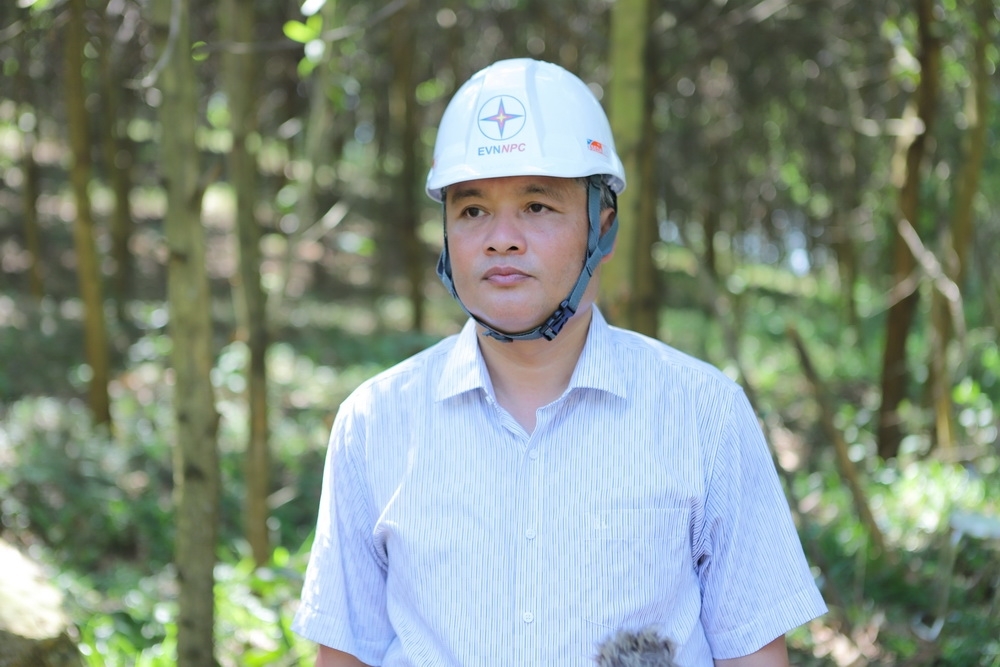 Công ty Điện lực Thanh Hóa: Ra quân giải phóng hành lang an toàn lưới điện năm 2023