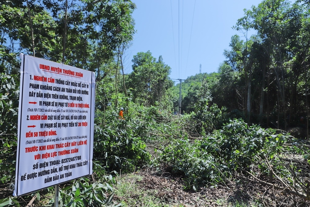 Công ty Điện lực Thanh Hóa: Ra quân giải phóng hành lang an toàn lưới điện năm 2023