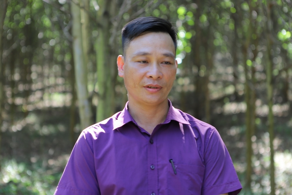 Công ty Điện lực Thanh Hóa: Ra quân giải phóng hành lang an toàn lưới điện năm 2023