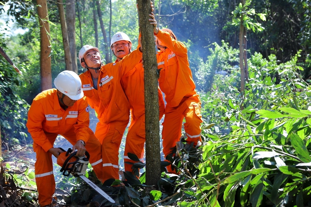 Công ty Điện lực Thanh Hóa: Ra quân giải phóng hành lang an toàn lưới điện năm 2023