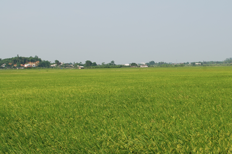 Các cụ là những tấm gương sáng cho con cháu học tập, noi theo