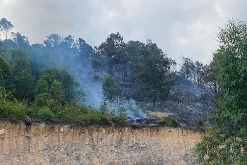 Danh tính 2 người dân tử vong trong vụ cháy rừng ở Quảng Ninh