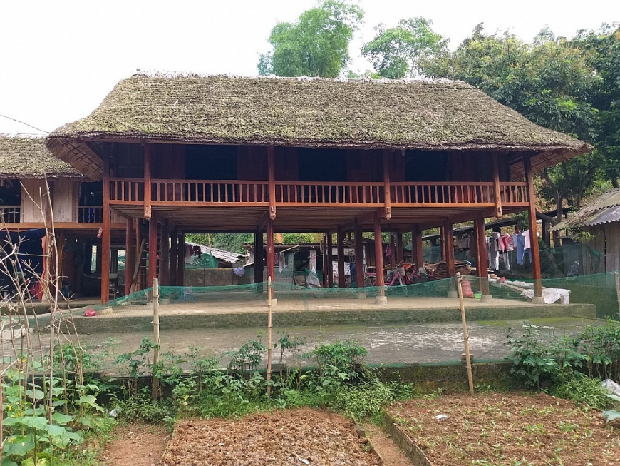 Trái ngọt mùa đầu...