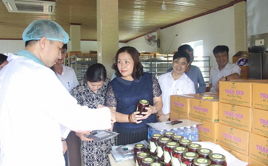 Khai thác tiềm năng lợi thế xây dựng gần 100 sản phẩm OCOP đến cuối năm 2025