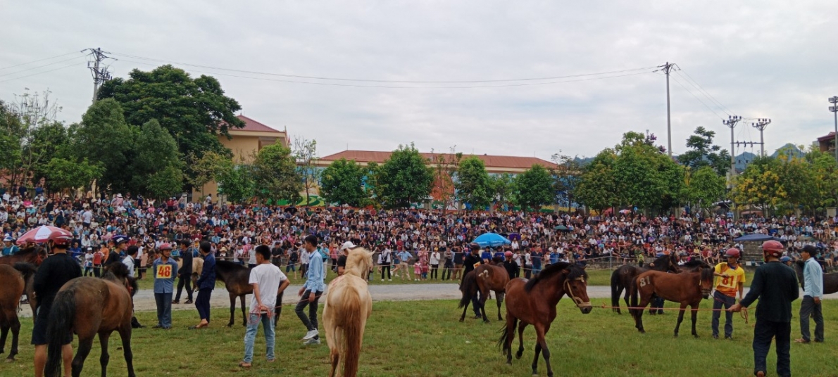 Lào Cai: Đặc sắc vòng trung kết đua ngựa truyền thống Cao nguyên trắng Bắc Hà