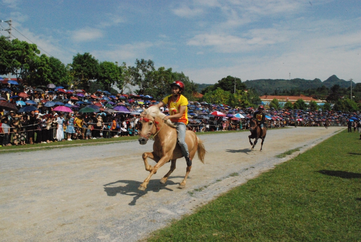 Lào Cai: Đặc sắc vòng trung kết đua ngựa truyền thống Cao nguyên trắng Bắc Hà