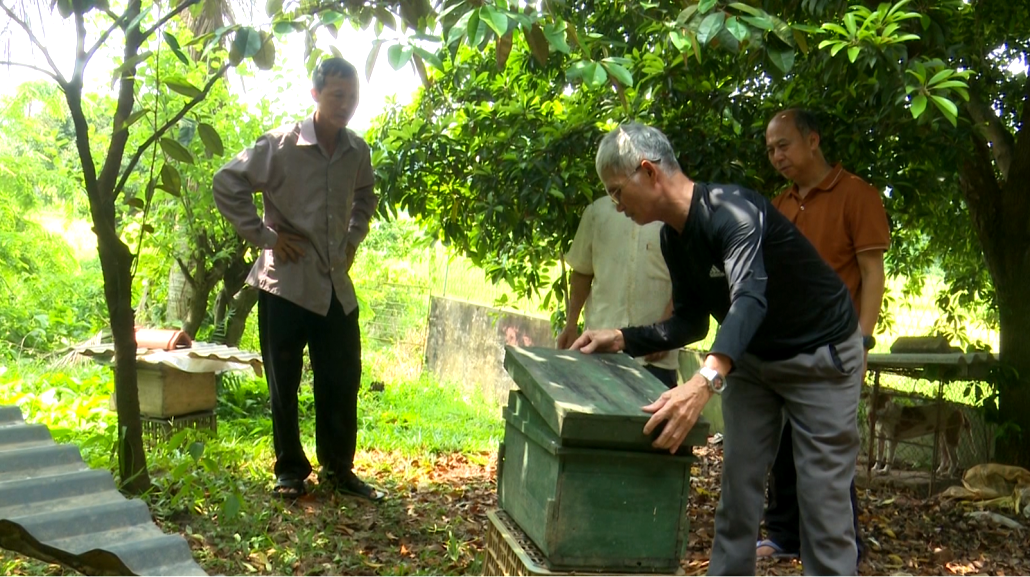 NCT TP Thái Nguyên tích cực phát triển kinh tế, xóa đói giảm nghèo