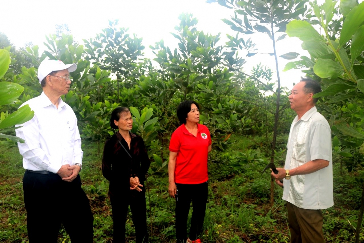 Thăm mô hình làm kinh tế giỏi của ông Nguyễn Văn Vường