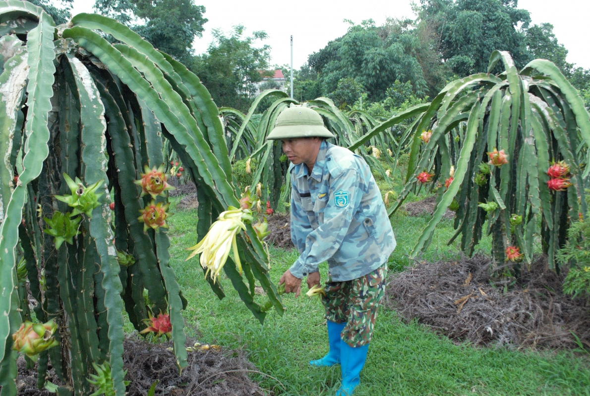 Ông Nguyễn Văn Trường tái đắc cử chức Chủ tịch Hội Nông dân huyện Ba Vì Ông Nguyễn Văn Trường tái đắc cử chức Chủ tịch Hội Nông dân huyện Ba Vì