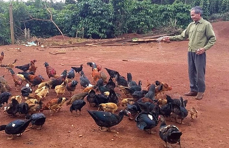 Chuyện ông Sơn vượt khó làm giàu