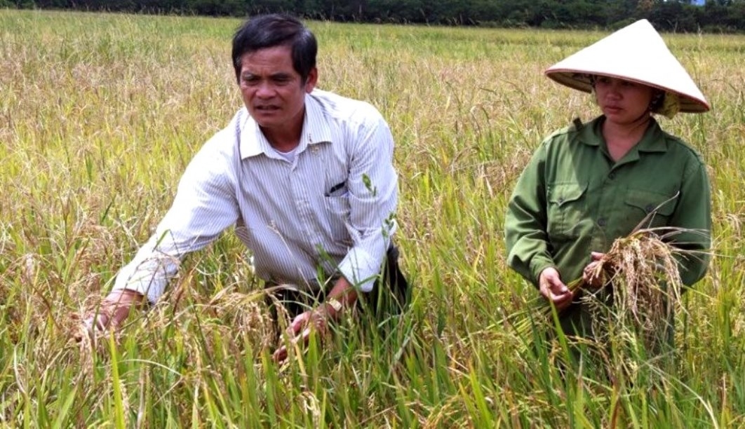 Ông Vũ Trung Thành, Chủ tịch Hội NCT xã Nam Dong, huyện Cư Jút, tỉnh Đắk Nông được tôn vinh làm kinh tế giỏi Ông Vũ Trung Thành, Chủ tịch Hội NCT xã Nam Dong, huyện Cư Jút, tỉnh Đắk Nông được tôn vinh làm kinh tế giỏi