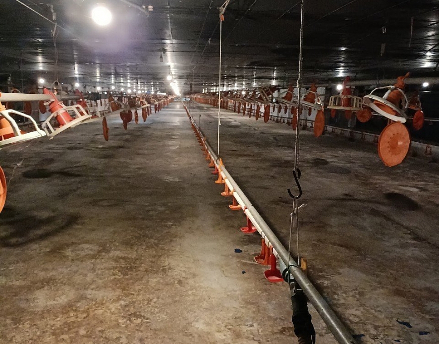 Nhịp cầu bạn đọc