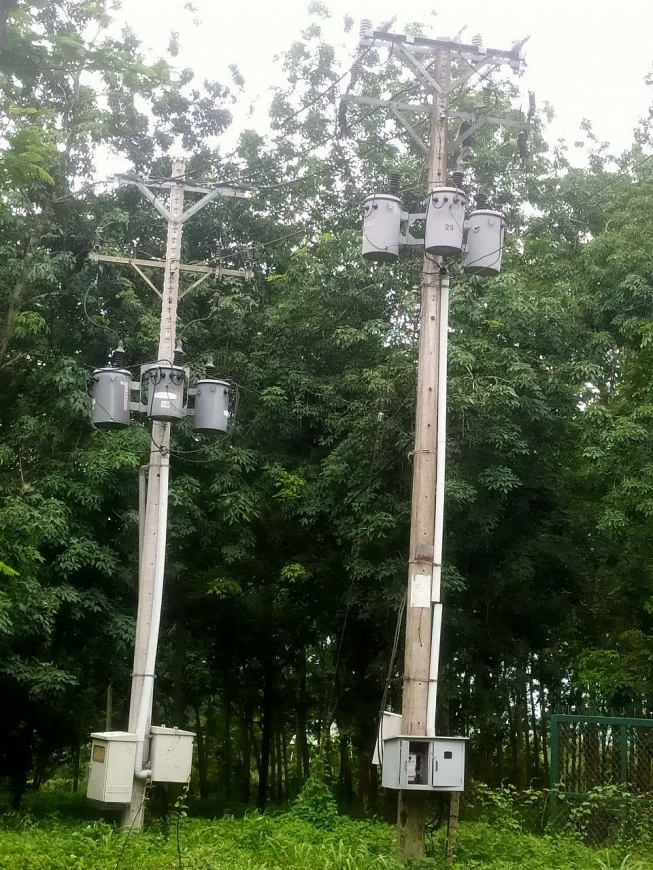 Nhịp cầu bạn đọc