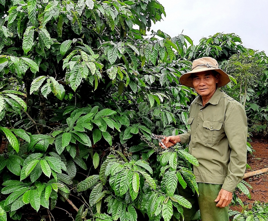 Chuyện ông Sơn vượt khó làm giàu