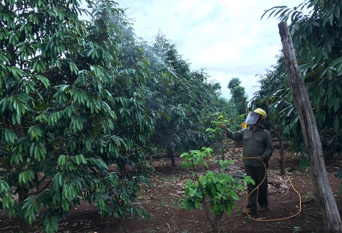 Mô hình làm kinh tế cho thu nhập cao của NCT tỉnh Đắk Nông