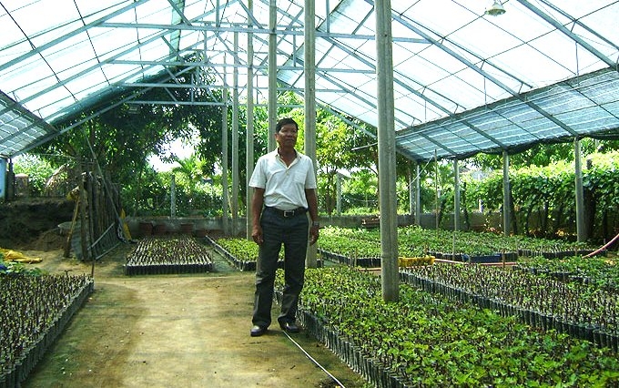 Ông Nguyễn Thường Lang trong vườn nho giống