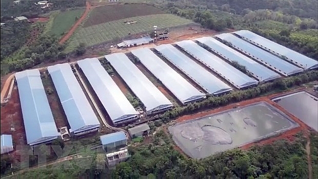 Đắk Nông: Xả thải gây ô nhiễm môi trường, Công ty TNHH Đức Tiến Lê bị phạt 1,4 tỷ đồng