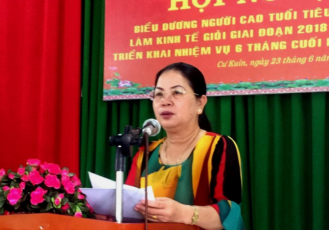 Bà Triệu Thị Ngoan phát biểu tại Hội nghị