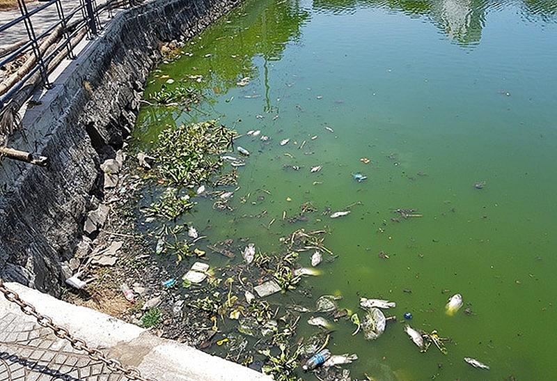 Còn đó nỗi lo môi trường!