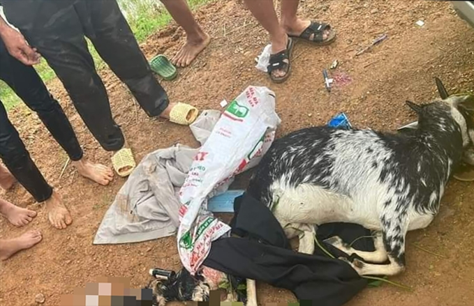 Tin mới vụ "bắn nhầm" dê của người dân ở huyện Mỹ Đức, Hà Nội