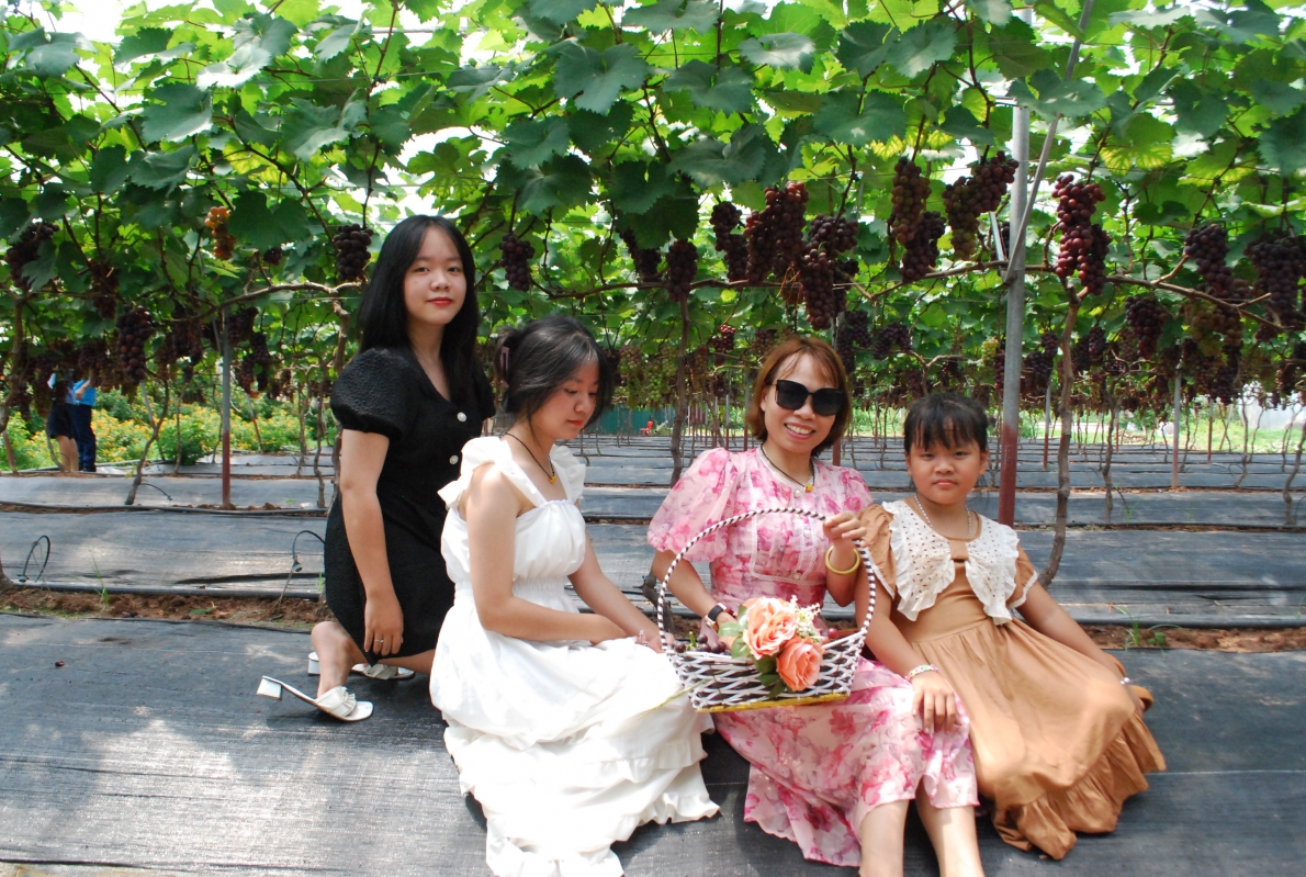 Khắp nơi lan tỏa phong trào làm nông nghiệp tuần hoàn, hữu cơ