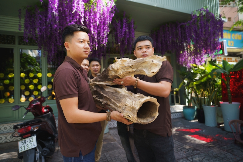 Mãn nhãn thân trầm hương 300 năm tuổi tại TP Hồ Chí Minh
