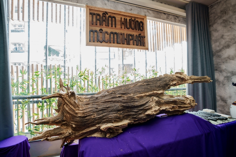 Mãn nhãn thân trầm hương 300 năm tuổi tại TP Hồ Chí Minh