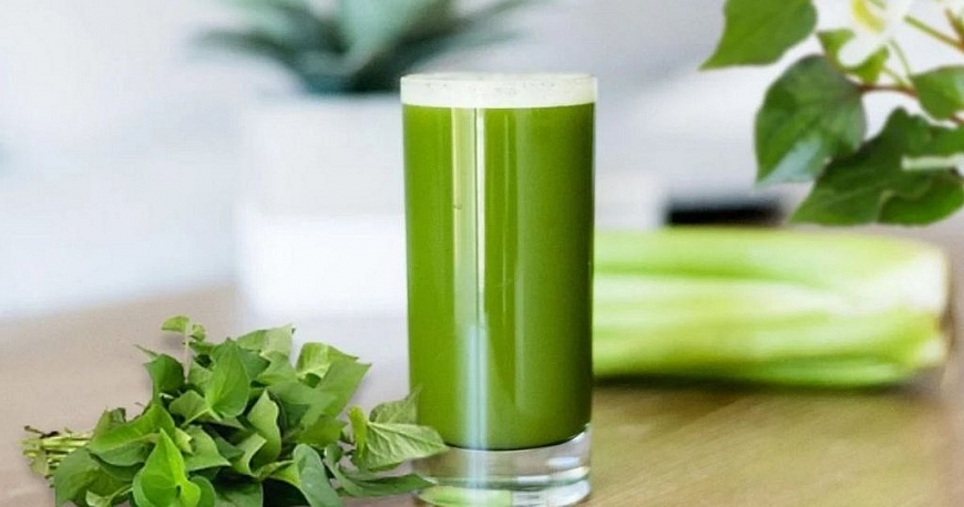 Nước thanh nhiệt giải khát từ rau diếp cá