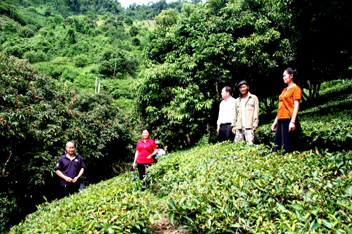 Mô hình làm kinh tế giỏi của NCT huyện Mộc Châu, tỉnh Sơn La