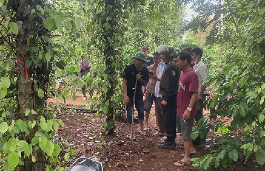 Người dân địa phương hỗ trợ lực lượng chức năng vây bắt các đối tượng lẩn trốn trong rừng. Người dân địa phương hỗ trợ lực lượng chức năng vây bắt các đối tượng lẩn trốn trong rừng.