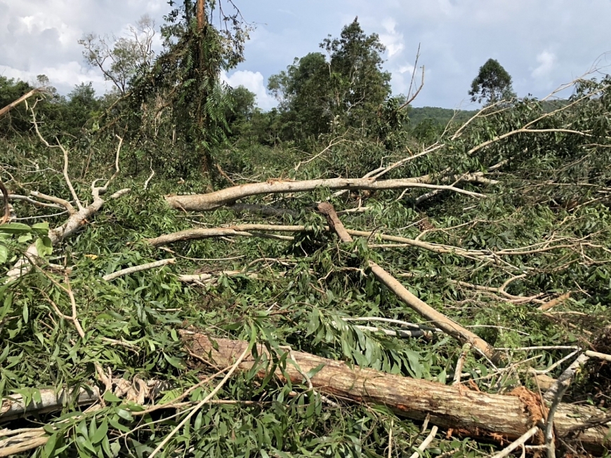 Vì sao đất khai hoang của người dân không được đền bù?