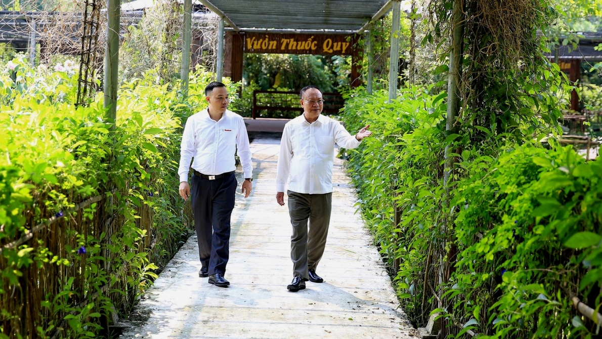 Ông Nguyễn Mạnh Thản (bên phải), Chủ tịch HĐQT kiêm Tổng Giám đốc Công ty CP Ao Vua tâm huyết với cây thuốc nam chăm lo sức khỏe cho NCT