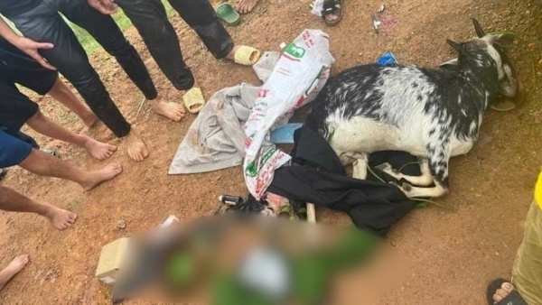 Hà Nội: Khởi tố, bắt tạm giam 3 cựu cán bộ Công an bắn dê của dân